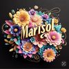 Marisol’s Closet