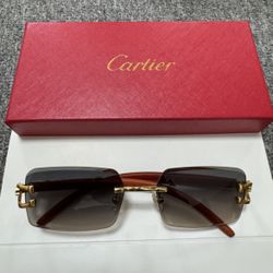 Authentic Cartier Sunglasses – Luxury Designer Eyewear, Mint Condition