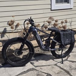 Puckipuppy GoldenR PRO E Bike-Dual Motor