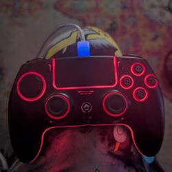 Wireless PS5 Controller (Read Description)