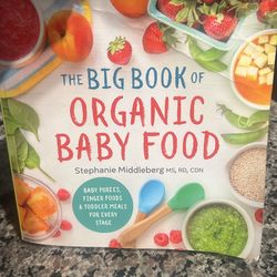 Organic Baby food Book