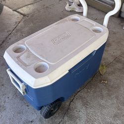 Coleman cooler
