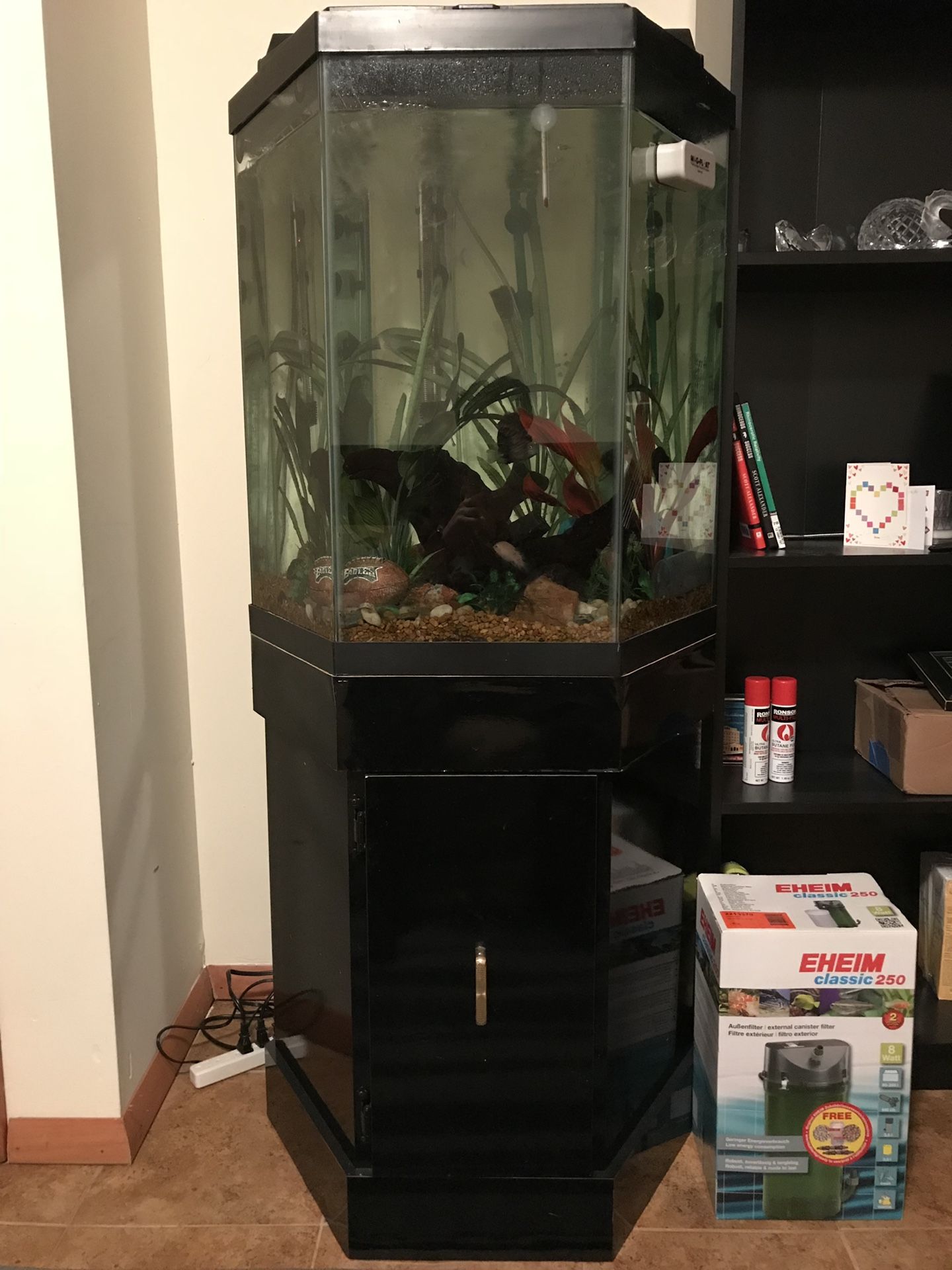 75 Gallon Hexagon Aquarium