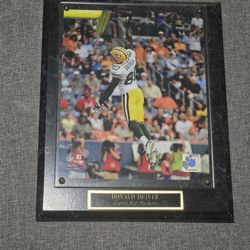 Donald Driver Green Bay Packers Picture 