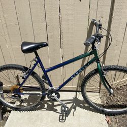 Trek Mountain Bike