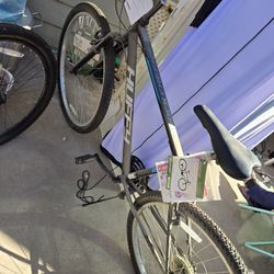 Tall 29" Mountain Bike