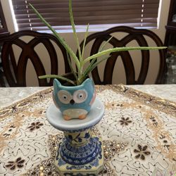 Super cute plant decoration