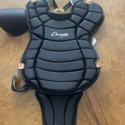Baseball catchers gear chest protector, new never use will deliver for$$ for adults or youth!! 