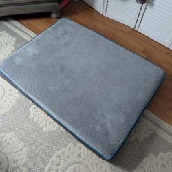 Orthopedic Dog Bed