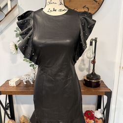 Zara Faux Leather Dress With Studs  Size XS