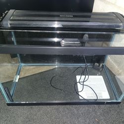 10 Gallon Fish Tank