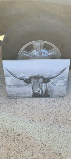 Farmhouse longhorn