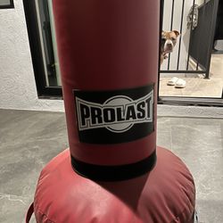 PRO Last Free Standing Boxing Bag