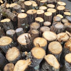 Fire Wood for Sale