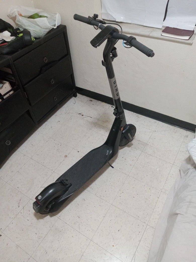 Bird Flex Electric Scooter
