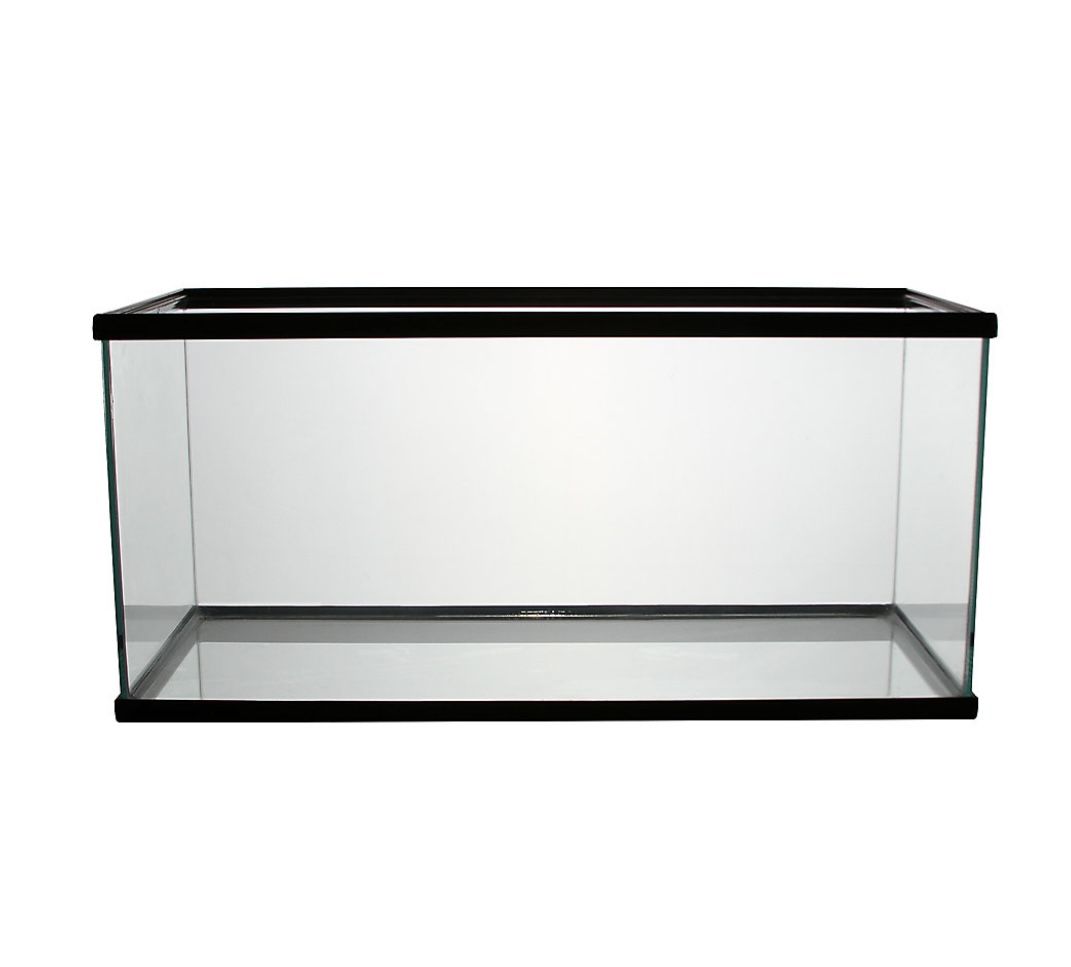 40 Gallon fish Tank