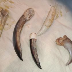 Bear Claws And Crocodile Teath Mix