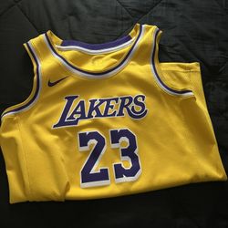 Los Angeles Lakers LeBron James Jersey 