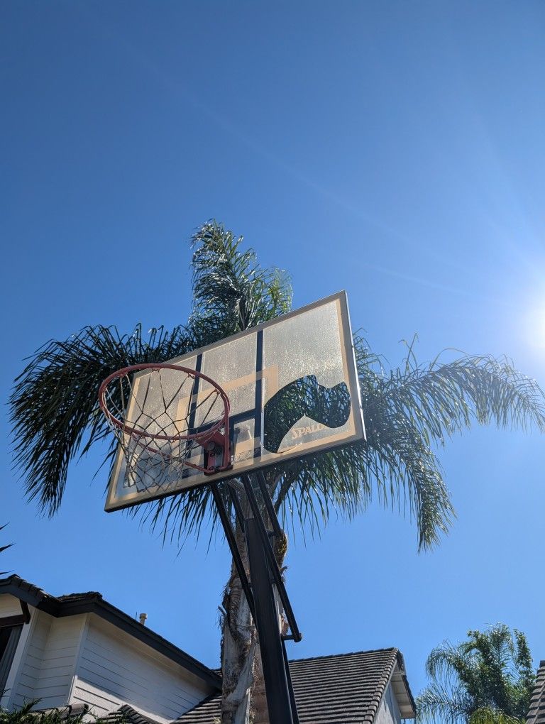 Free Basketball Hoop. Broken Backboard