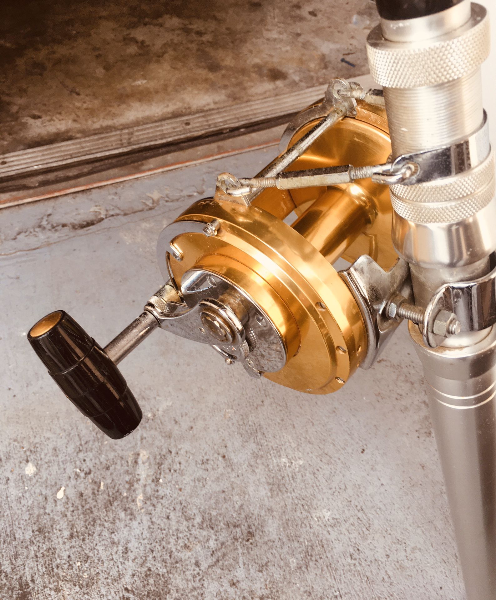 Penn International 80 W Reel and Rod Bara de Pesca y Carrete