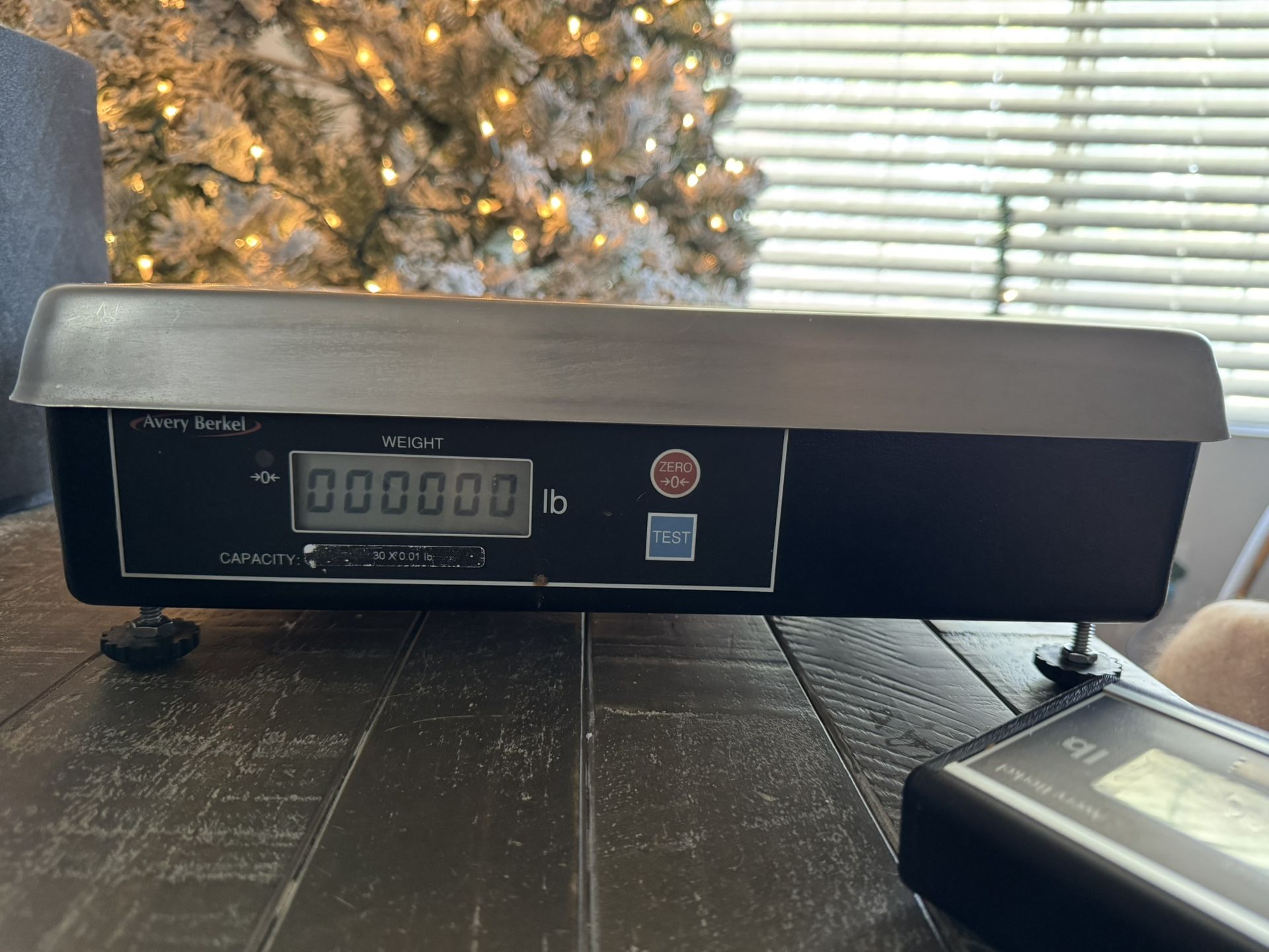 Avery Berkel 6720-15 30lb POS Digital Scale