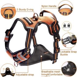 Dog Harness XL