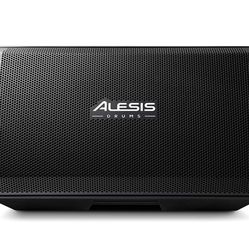 Alesis Drum Amplifier Speaker