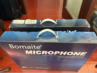 Bomaite FBX 4 DSP with microphone