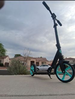 WAYPLUS KS1 Adjustable Foldable Kick Scooter