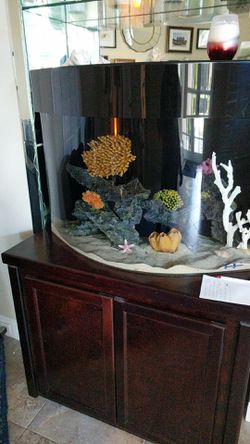 Saltwater fish tank. Excellent condition. New LED light