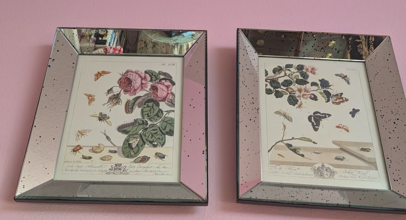 Sale $420.00 Antique Beveled Mirror Botanical Garden Prints