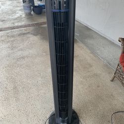 Fan