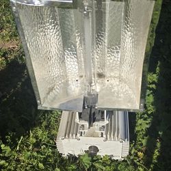 Gavita Pro 1000w Lights 