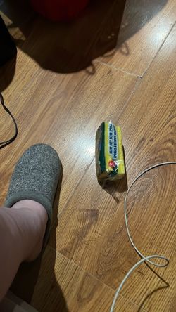 Sponges