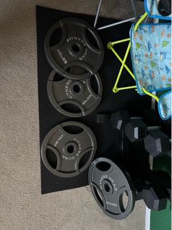 Fitness gear 45lb plates