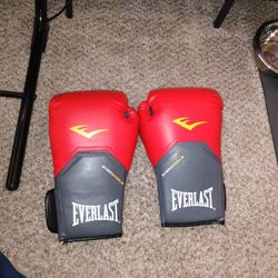 14 Oz Boxing Gloves Everlast