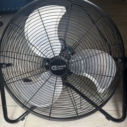 Fan Accepting Offers