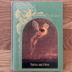 The Enchanted World Fairies And Elves Book Illustration Art Book Mythical 
