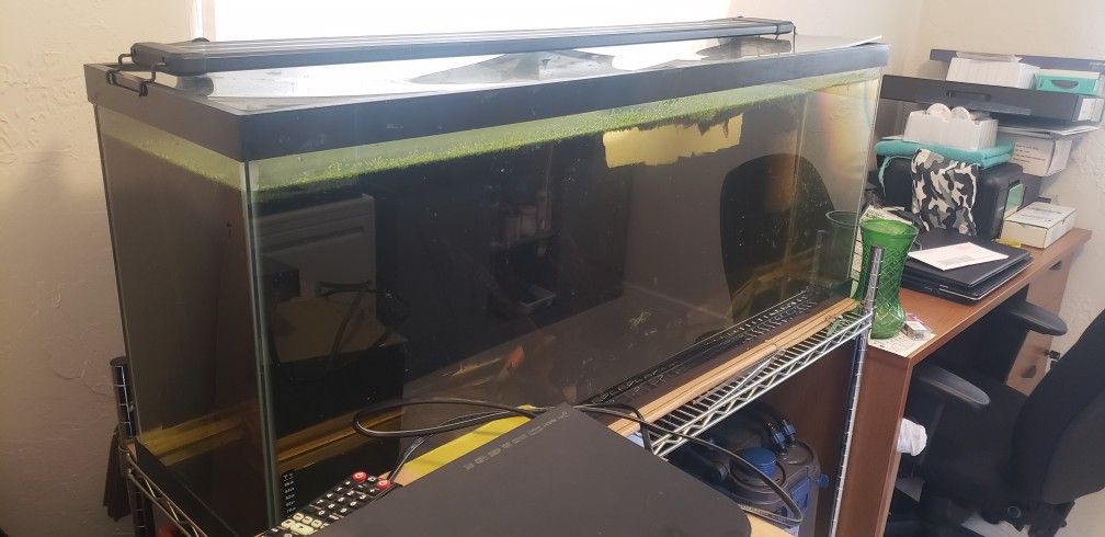 55-gal Aquarium With Light And Filter
