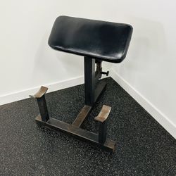 Preacher Curl - Bicep Bench - Gym Equipment - Workout 