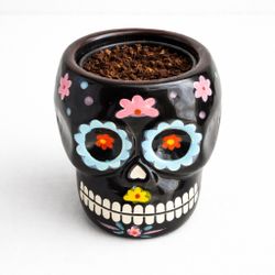 Decorative ceramic skull planter – great condition