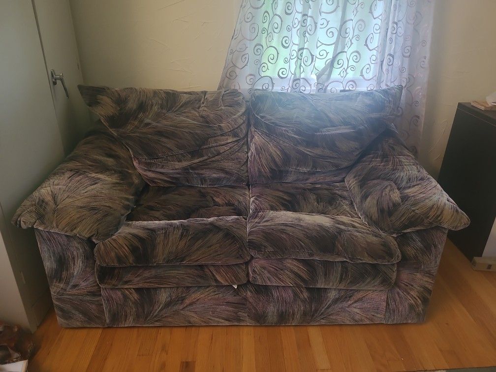 2 Piece Sofa Set