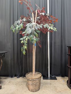 Green and Burgundy Artificial Tree in Woven Basket