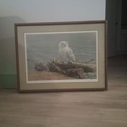 Robert Bateman Snowy Owl on driftwood