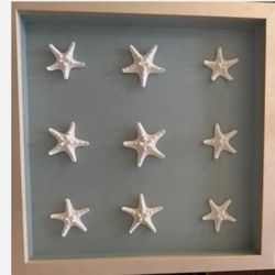 Starfish shadow box