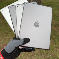 iPads 5 / 6 / 8 / Pro