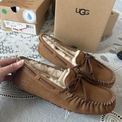 W Dakota UGG slippers  