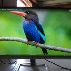 HP 25es Monitor