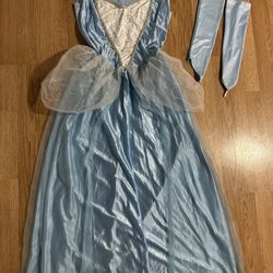 Cinderella Halloween Costume 