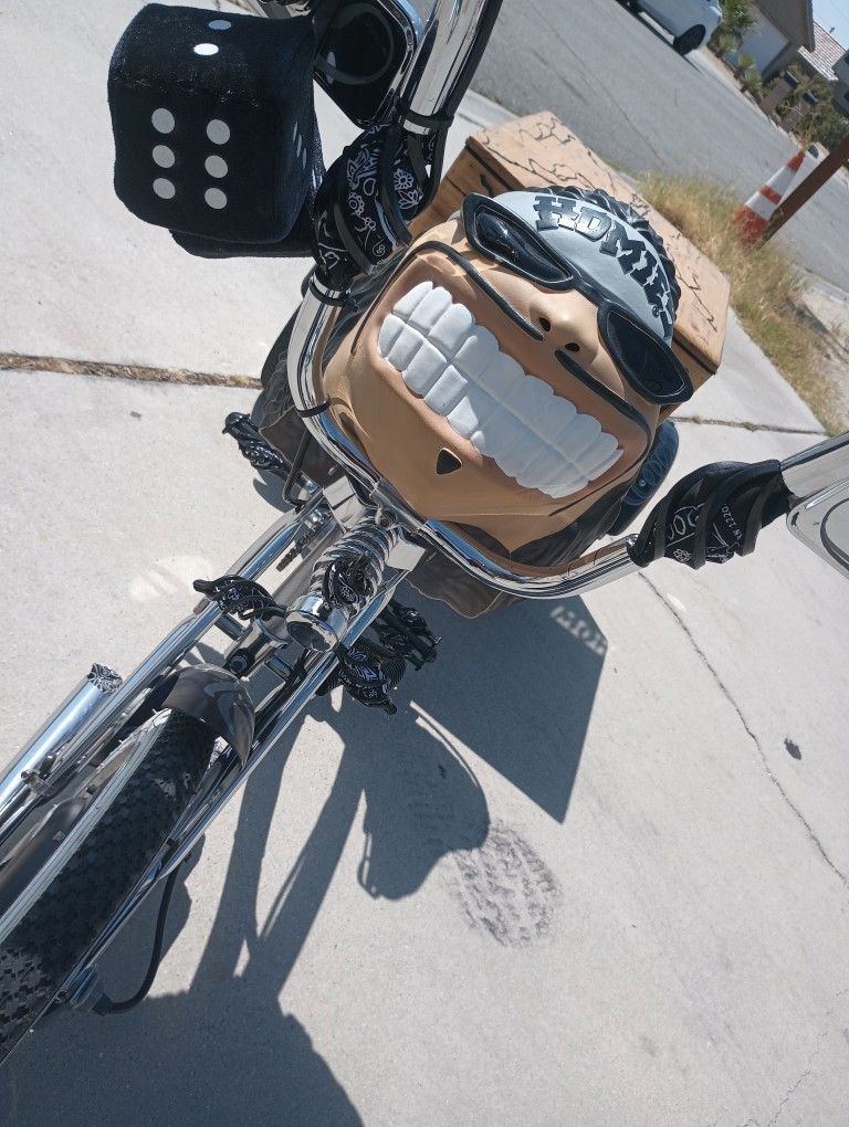 Custom Electric Lowrider Bike